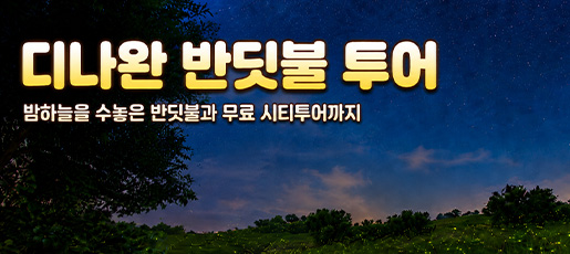 디나완 반딧불 투어