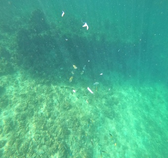 코타키나발루 바다낚시 투어: 스노클링부터 씨푸드까지 완벽 가이드