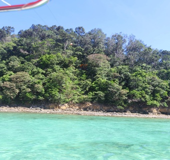 코타키나발루 섬투어 완벽 가이드: 가야섬·사피섬에서 즐기는 해양 액티비티 3종 세트