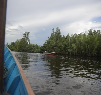 코타키나발루 반딧불 투어 완벽 가이드: 가격부터 예약까지