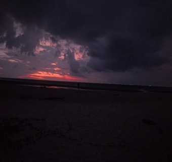 코타키나발루 반딧불 투어 완벽 가이드  맹그로브와 석양까지!