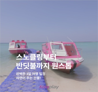 코타키나발루 만따나니 섬 투어 완벽 가이드: 스노클링부터 반딧불까지