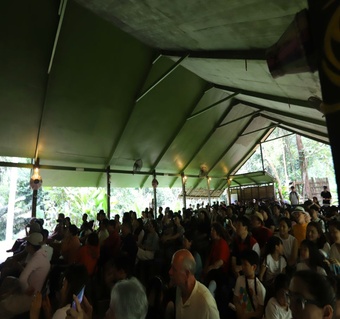 코타키나발루 마리마리 민속마을 완벽 가이드: 5개 부족 전통문화 체험기