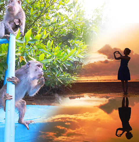 뚜아이 반딧불 투어