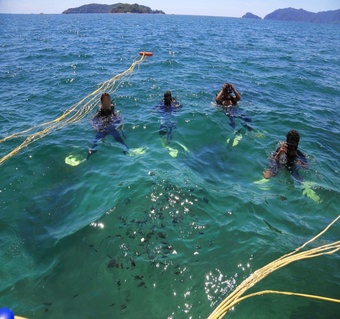 코타키나발루 씨워킹과 섬 호핑투어 완벽 가이드: 가야섬·사피섬에서 즐기는 특별한 바다 체험