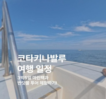 코타키나발루 3박5일 완벽 일정! 마린팩부터 반딧불까지 놓치면 후회하는 필수 코스 