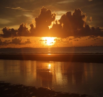 코타키나발루 반딧불 투어 완벽 가이드: 맹그로브 선셋과 함께하는 마법 같은 밤