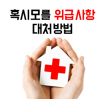 코타키나발루 응급상항