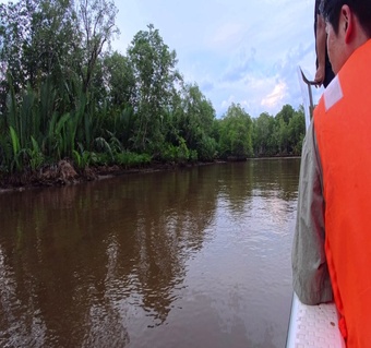 코타키나발루 반딧불 투어 완전 가이드: 맹그로브 숲에서 만나는 자연의 일루미네이션