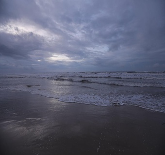 코타키나발루 반딧불 투어 완벽 가이드: 가격부터 예약까지 한번에 해결