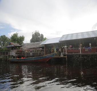 코타키나발루 건기 반딧불 투어: 맹글로브 숲에서 만나는 자연의 신비