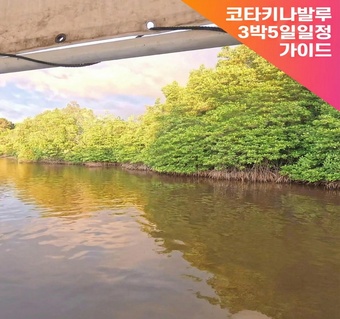 코타키나발루 3박 5일 완벽 일정표 - 반딧불 투어와 시티투어 놓치지 않는 법