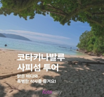 코타키나발루 사피섬 투어 완벽 가이드 ️ 해양액티비티부터 안전수칙까지!