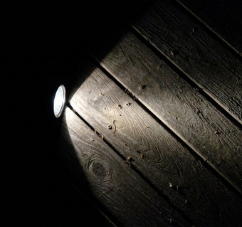 코타키나발루 반딧불 투어 준비물, 모기 기피제보다 중요한 것들