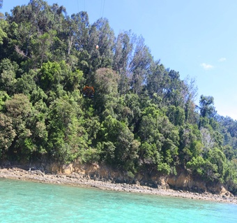 코타키나발루 슈퍼팩 투어 완벽 가이드: 가야섬·사피섬 7시간 일정 후기