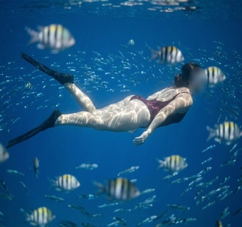 코타키나발루 스노클링 보트 투어, 물고기 떼 만날 확률 3배 높이는 방법