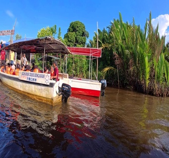 코타키나발루 반딧불 투어 시간 완벽 가이드: 6시간 일정부터 맹그로브 숲 탐험까지