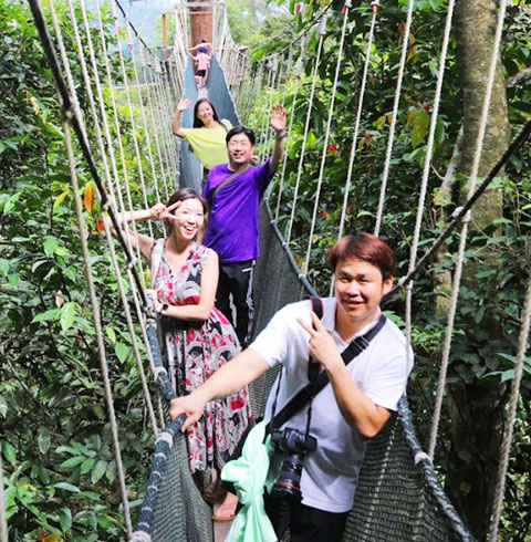 키나발루산 캐노피+온천투어
