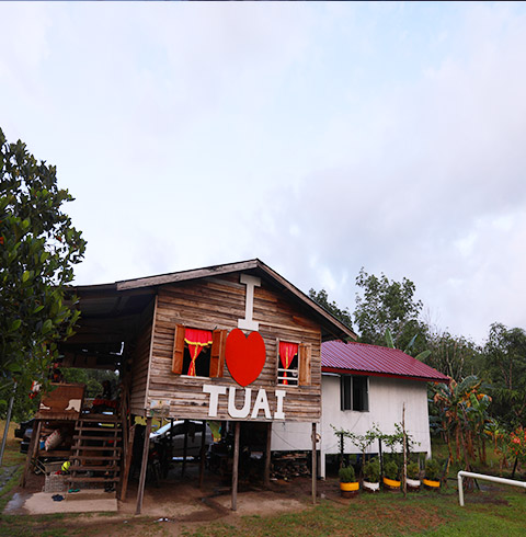 코타키나발루 반딧불+핑크문스파