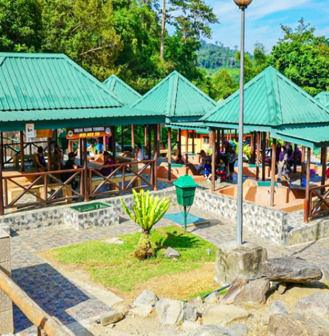 키나발루산 캐노피+온천투어