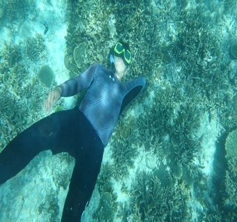 코타키나발루자유여행일정 만따나니 섬 투어 스노클링 반딧불