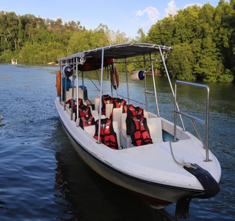코타키나발루 반딧불 투어 완벽 가이드: 디나완 투어로 경험하는 맹그로브 숲과 전통문화